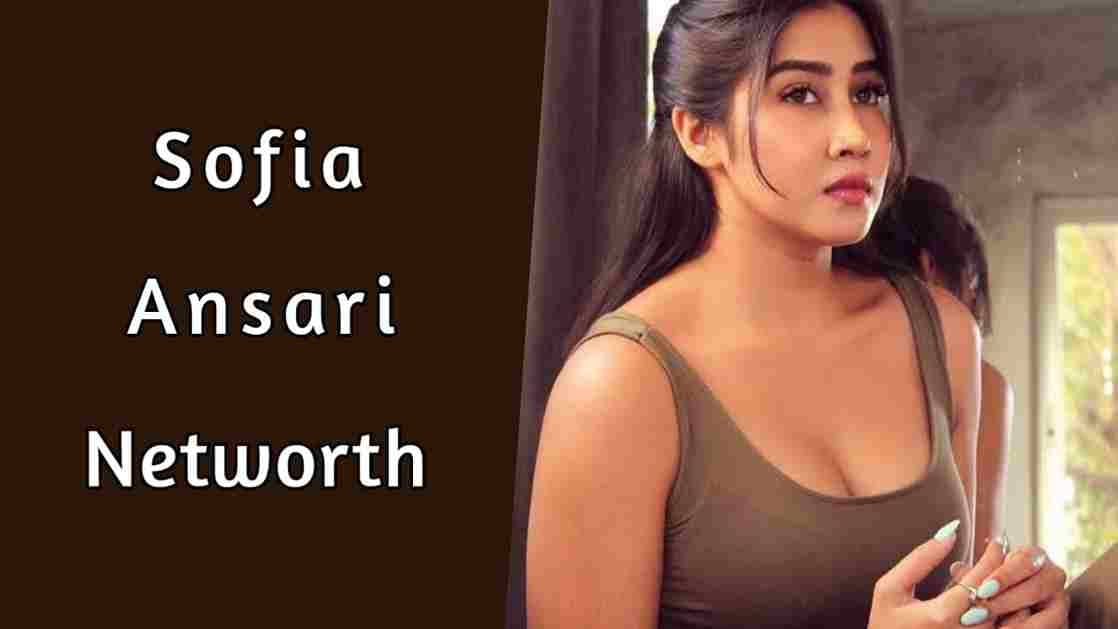 Sofia Ansari Net Worth 2024, Viral video, reels, income, boyfriend